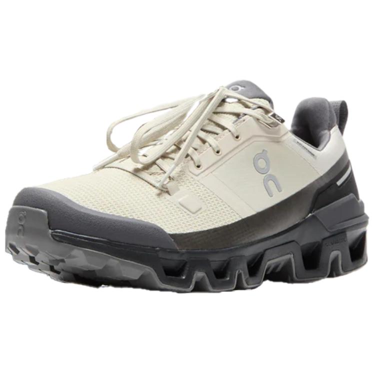 Cloudwander Running Shoes Men's Low-top Beige/Black On