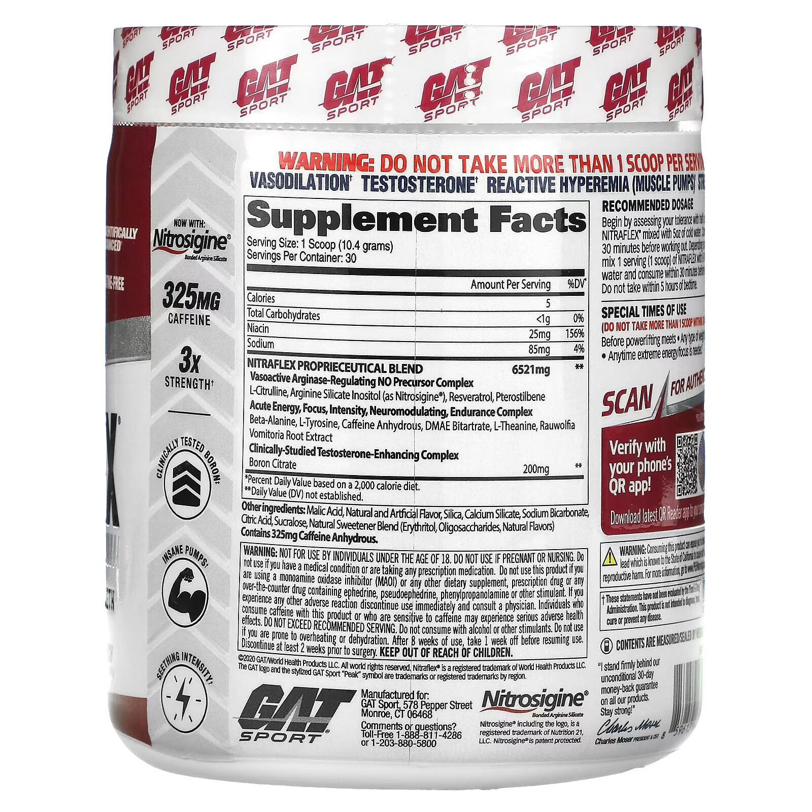 GAT, Sport, NITRAFLEX, Fruit Punch, 11 oz (312 g)