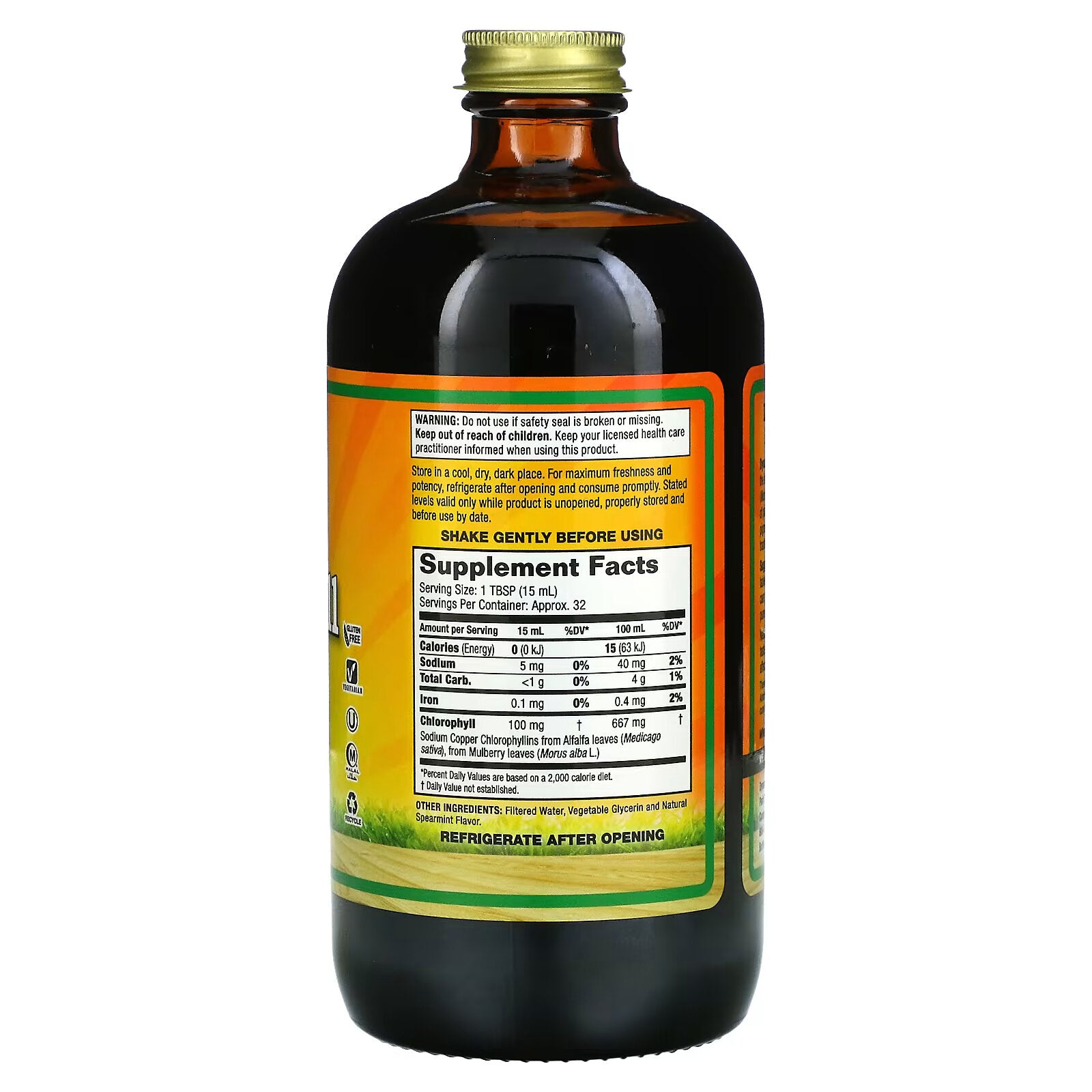 Dynamic Health Laboratories Liquid Chlorophyll 100 mg, 473 ml