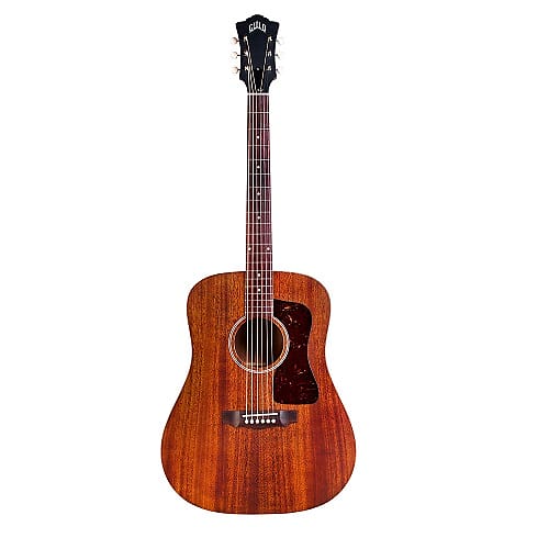 Acoustic guitar Guild D-20