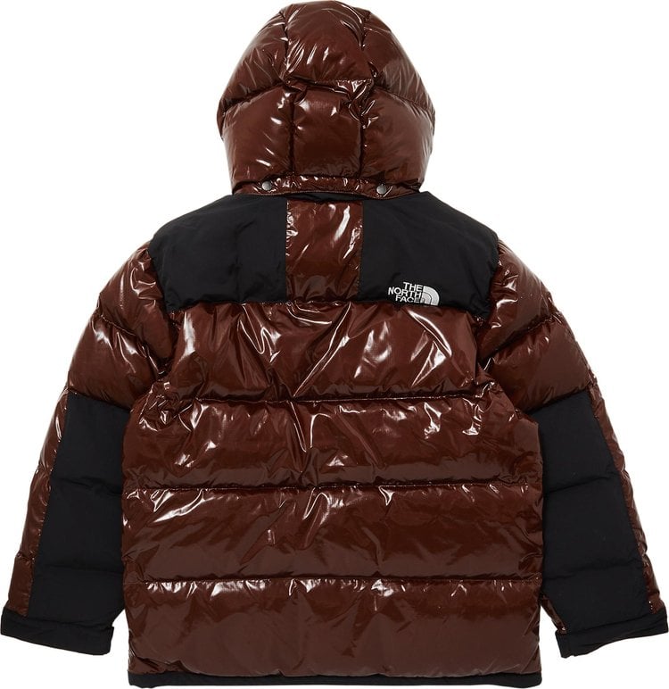 Supreme x The North Face 700-Fill Down Parka 'Brown', brown