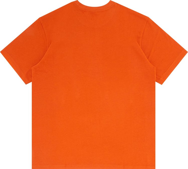 Supreme x Nike ACG Grid Tee 'Orange', orange