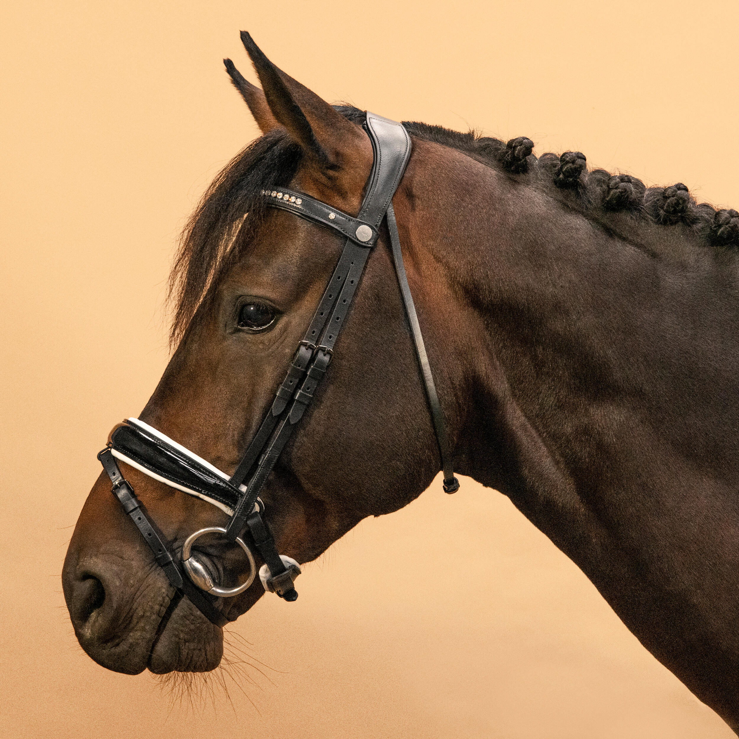 Fouganza bridle, black/white