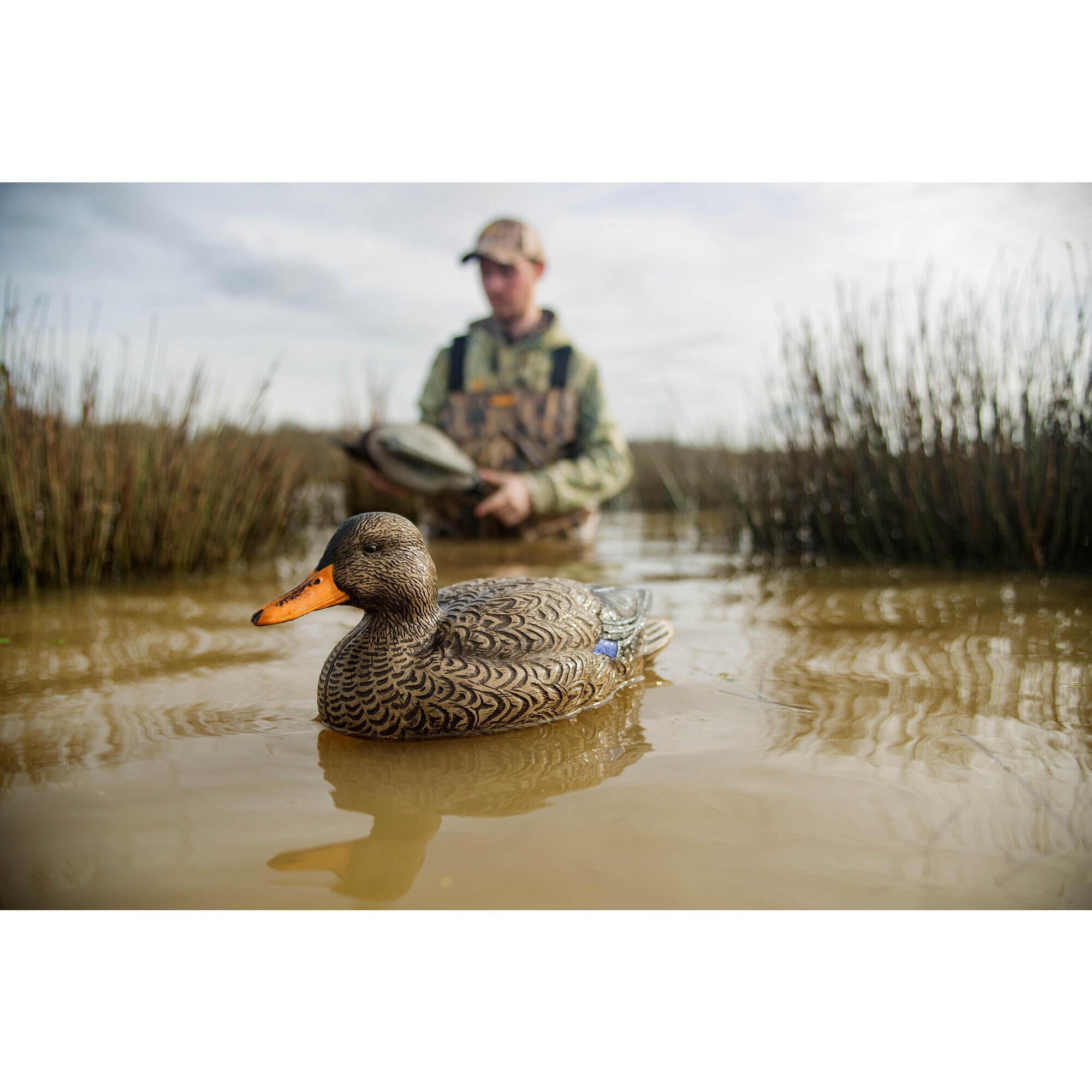 Mallard decoy female 500 HD SOLOGNAC