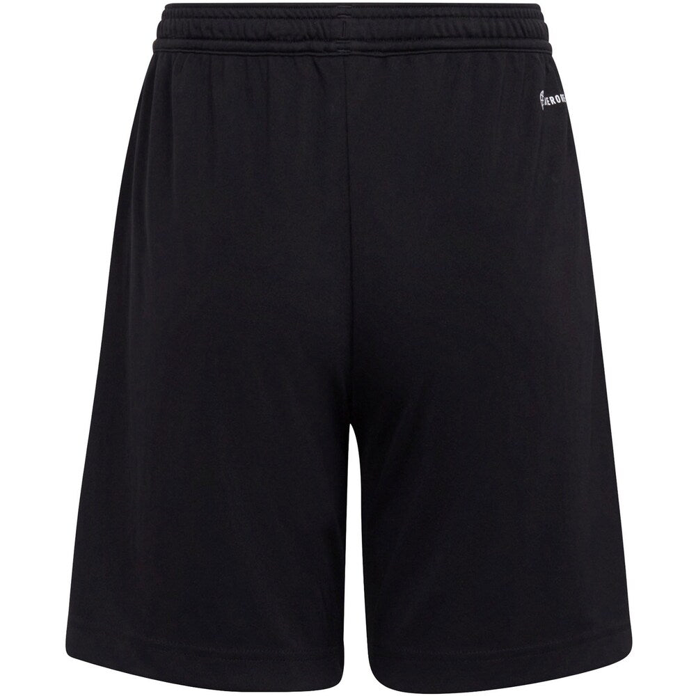 Regular training shorts ADIDAS PERFORMANCE Entrada 22, black