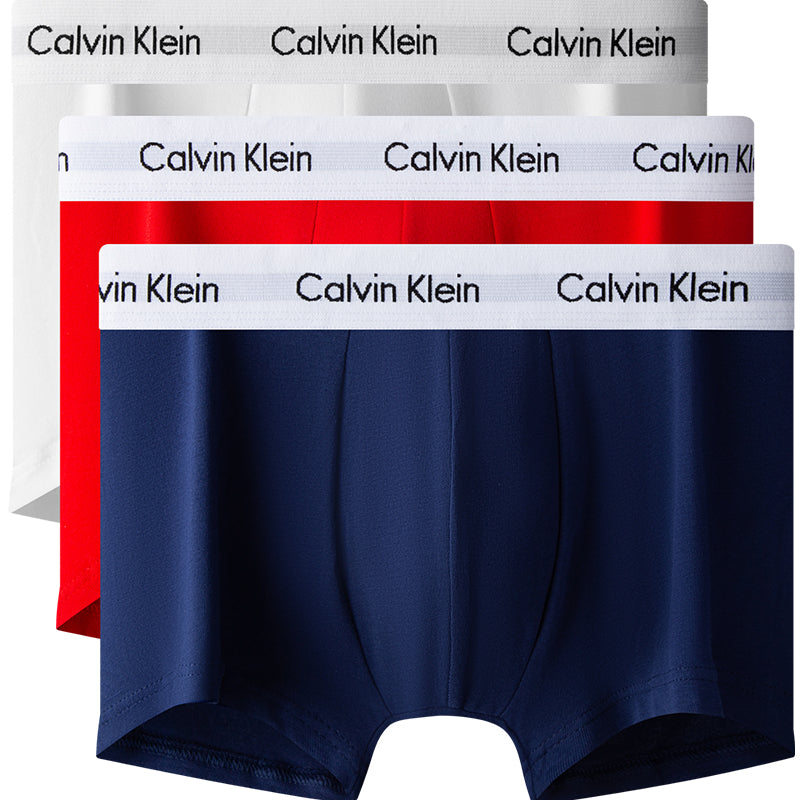 Men's Briefs Calvin Klein