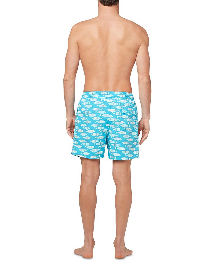 TOM & TEDDY 6" Fish Print Bottoms, Blue