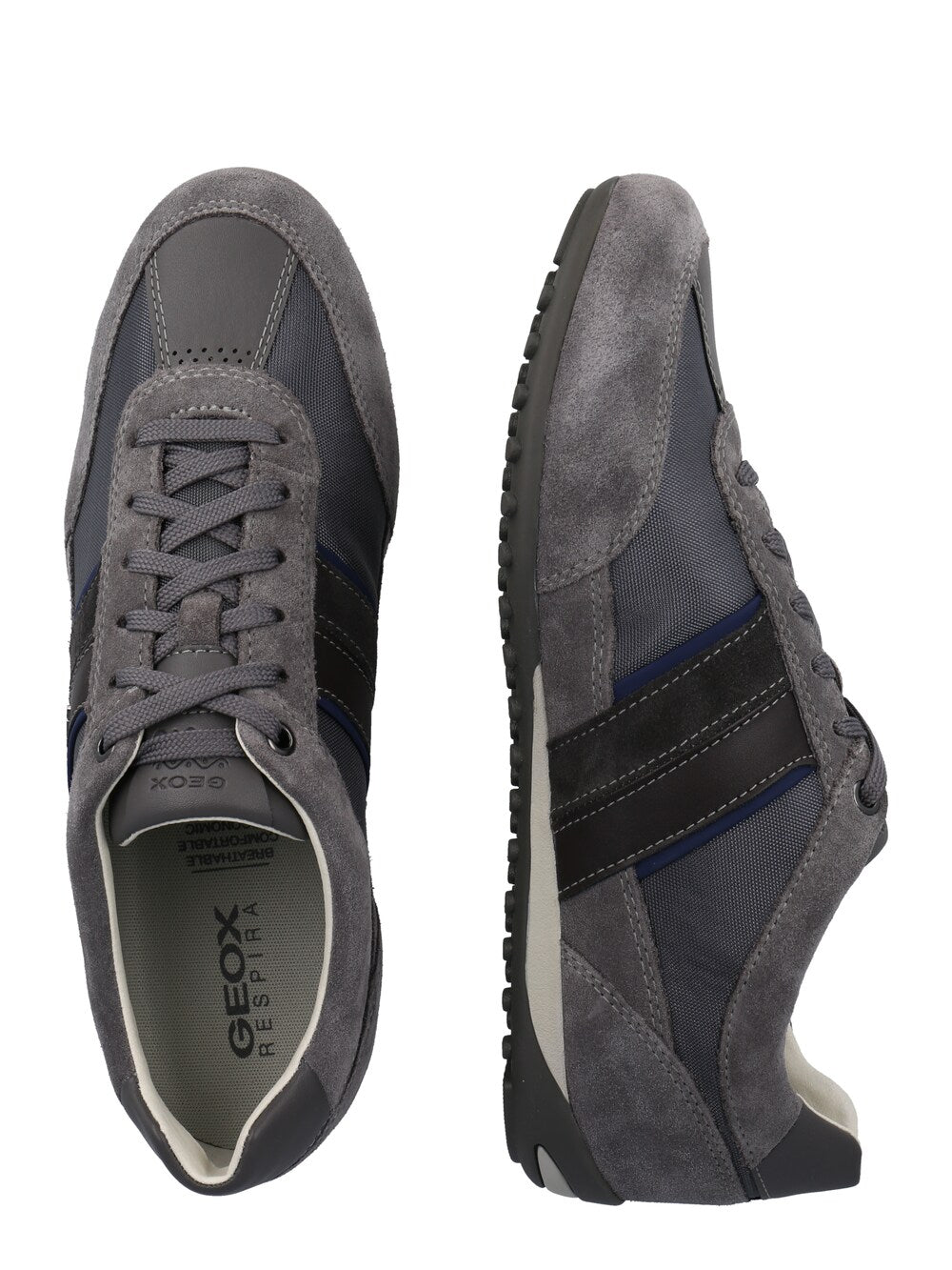 Geox Wells sneakers, anthracite/dark gray