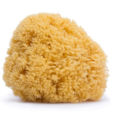 Large natural sponge Suavi, Suavinex