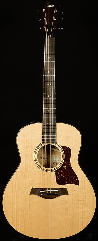 جيتار صوتي من Taylor Guitars GTe