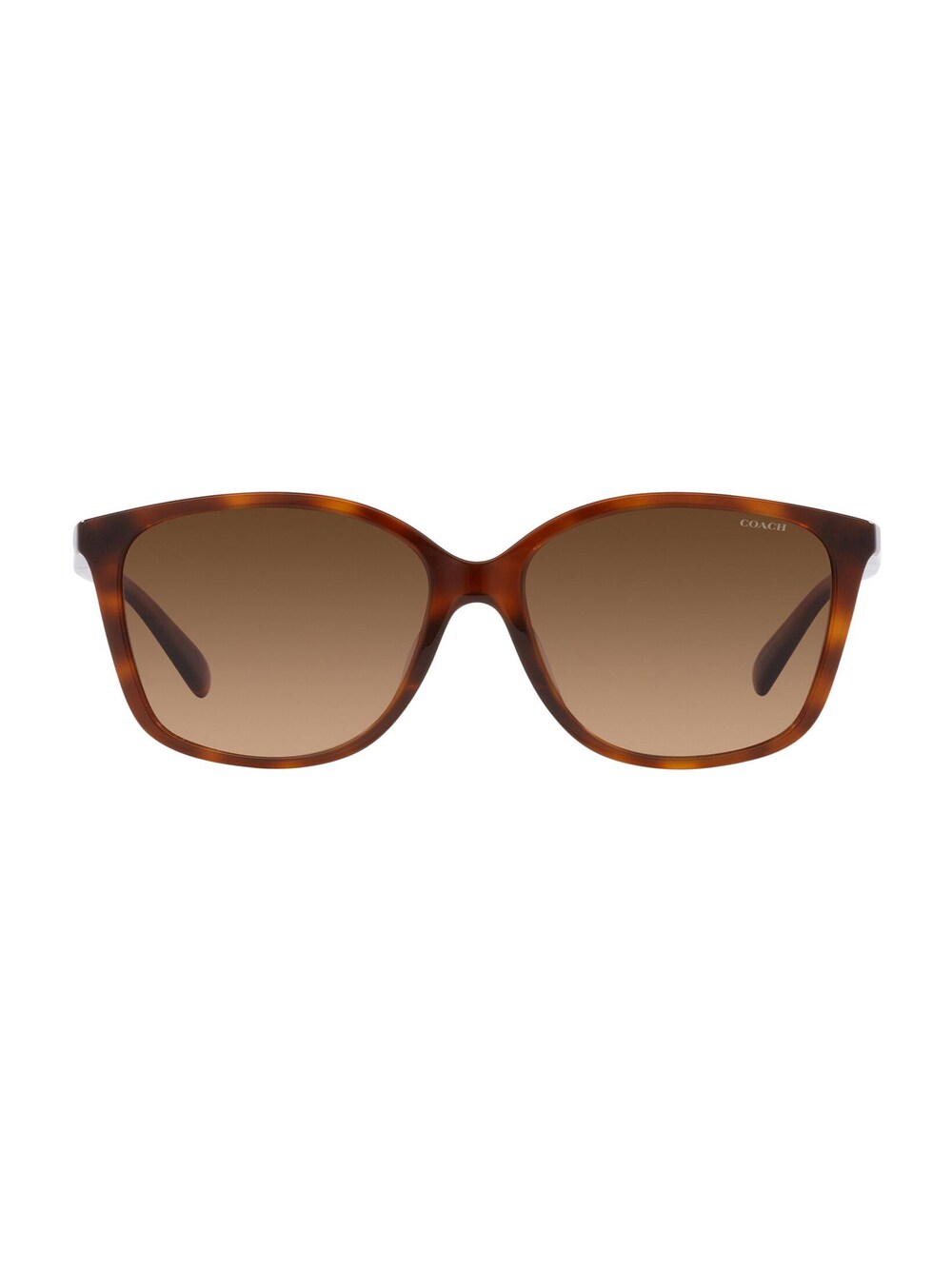 COACH sunglasses, caramel/cognac