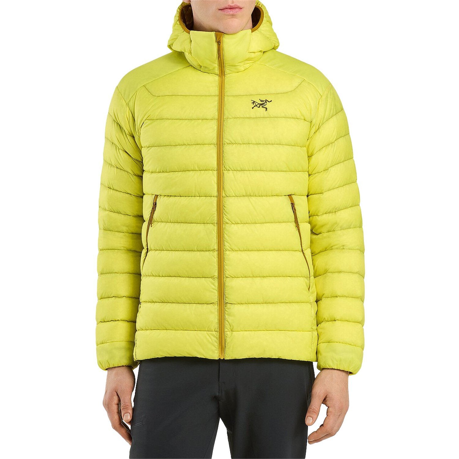 Arc'teryx Cerium Hoodie, Oracle