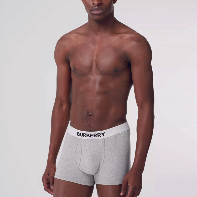 Men's gray briefs Burberry, gray