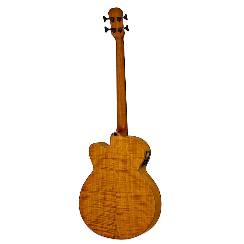 جيتار باس Aria FEB-F2/FL-STBR Flame Nato Top Nato Neck 4-String Fretless Acoustic Guitar مع حقيبة للحفلات الموسيقية - بني مصبوغ