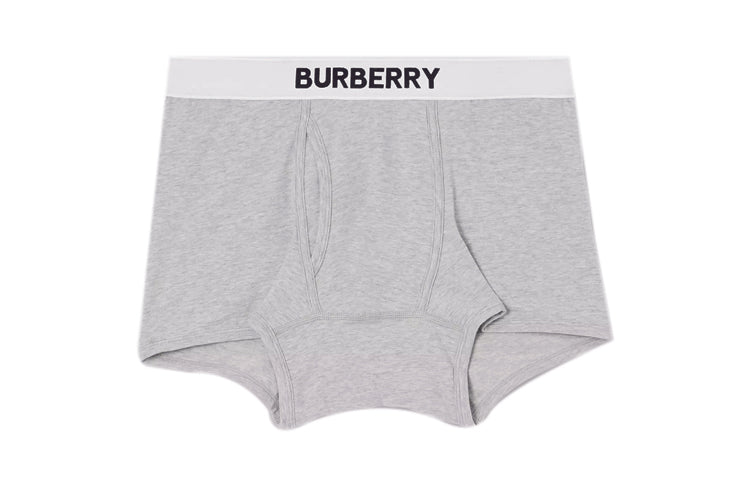 Men's gray briefs Burberry, gray